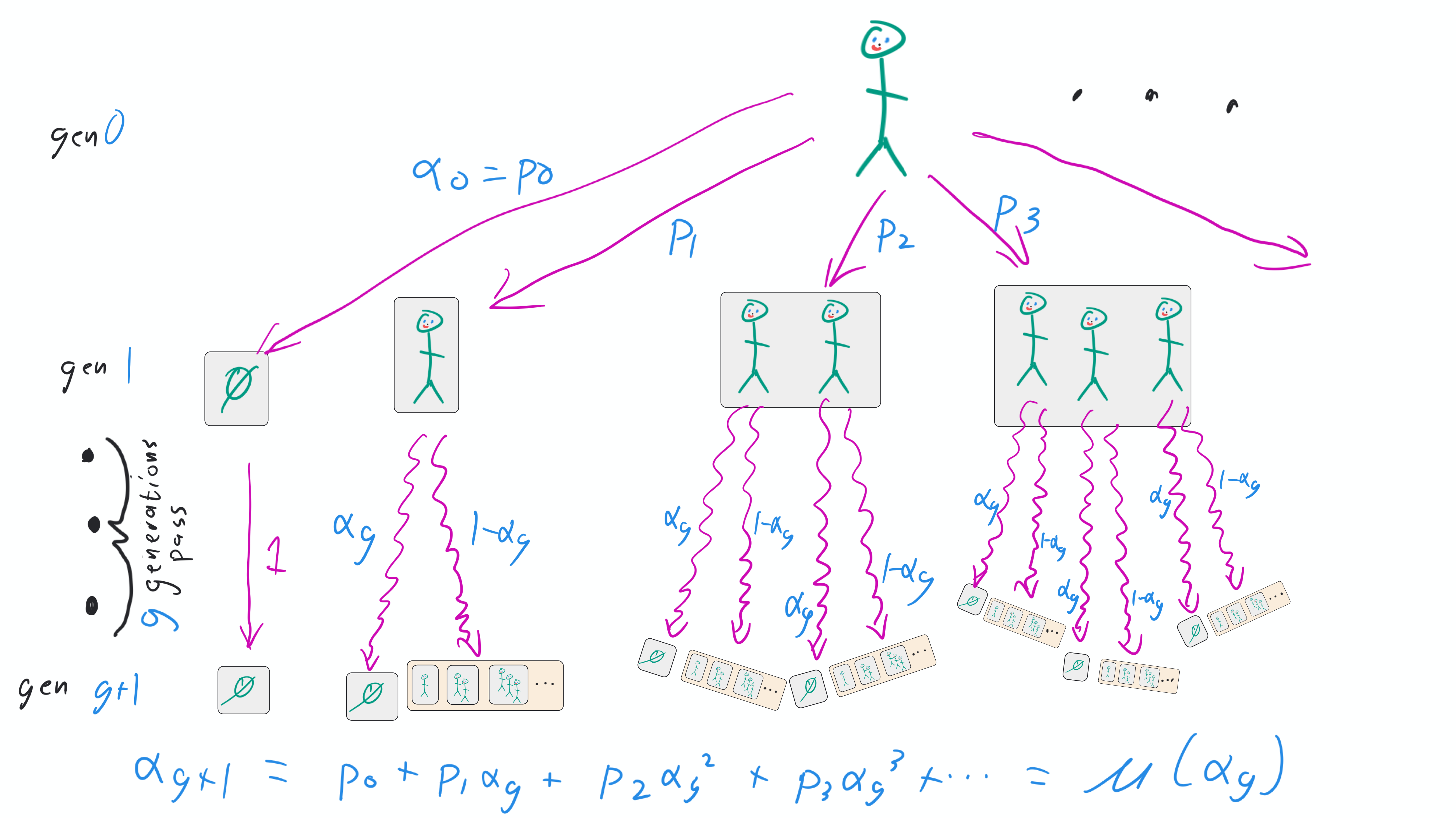 2.4. Extinction probability over time — Applications of Probability ...